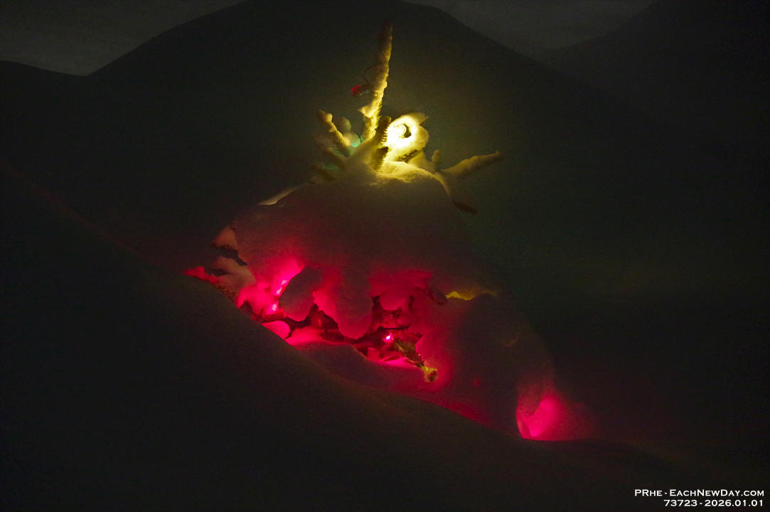 73723LeNrUsm - Bruce the Spruce, alight and under snow